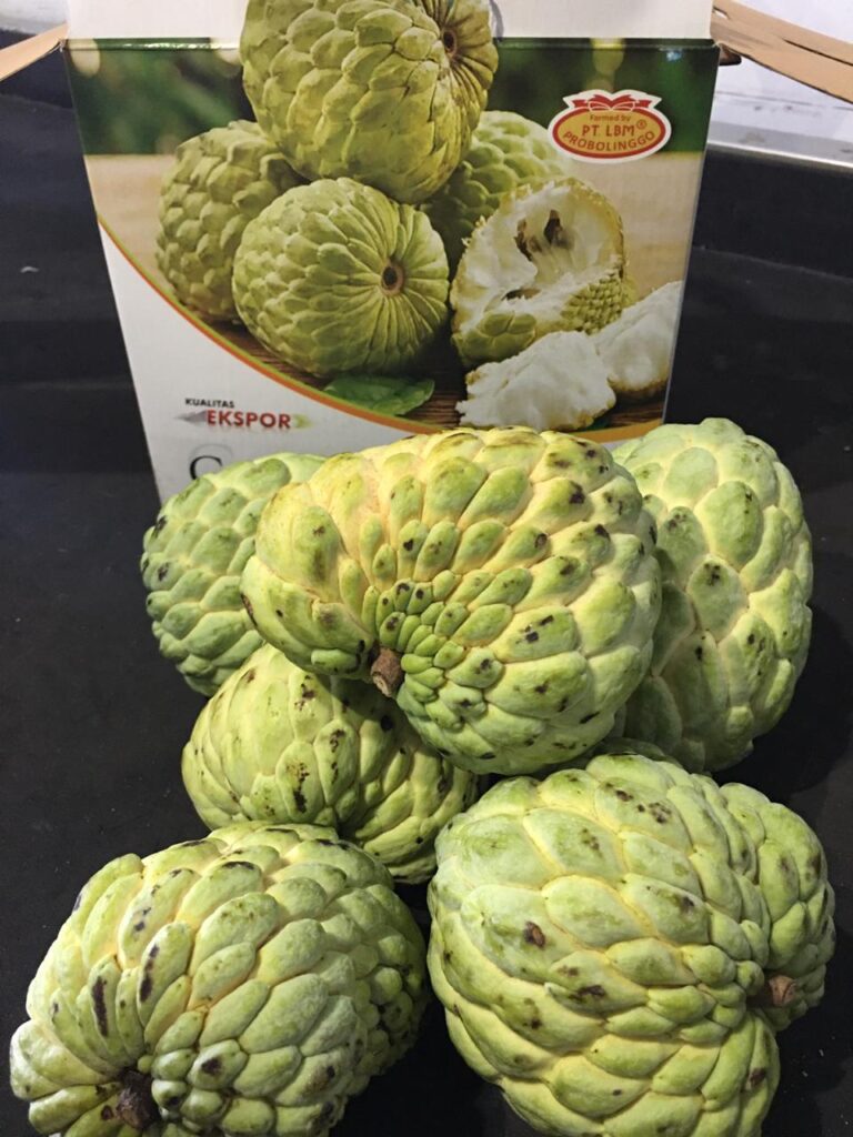 Jual Buah Srikaya Jumbo
