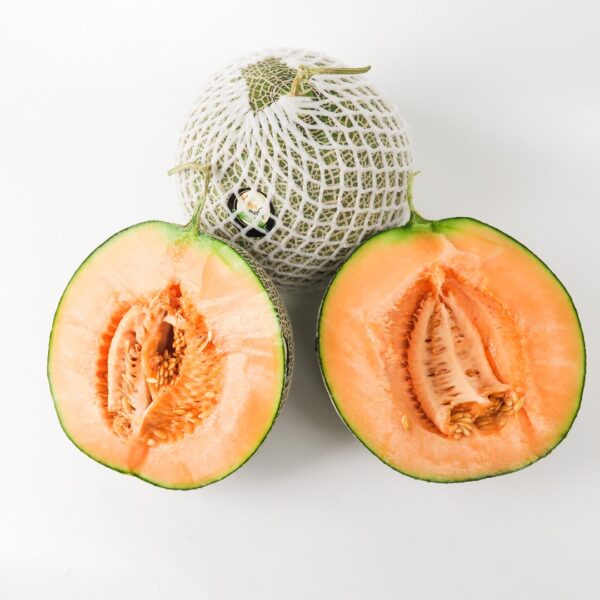 Jual Melon Orange
