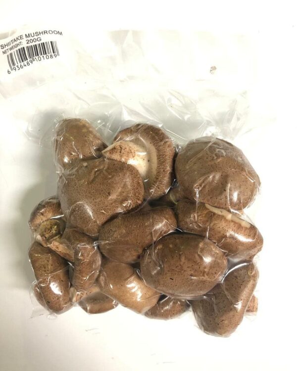 Jual Jamur Shitake