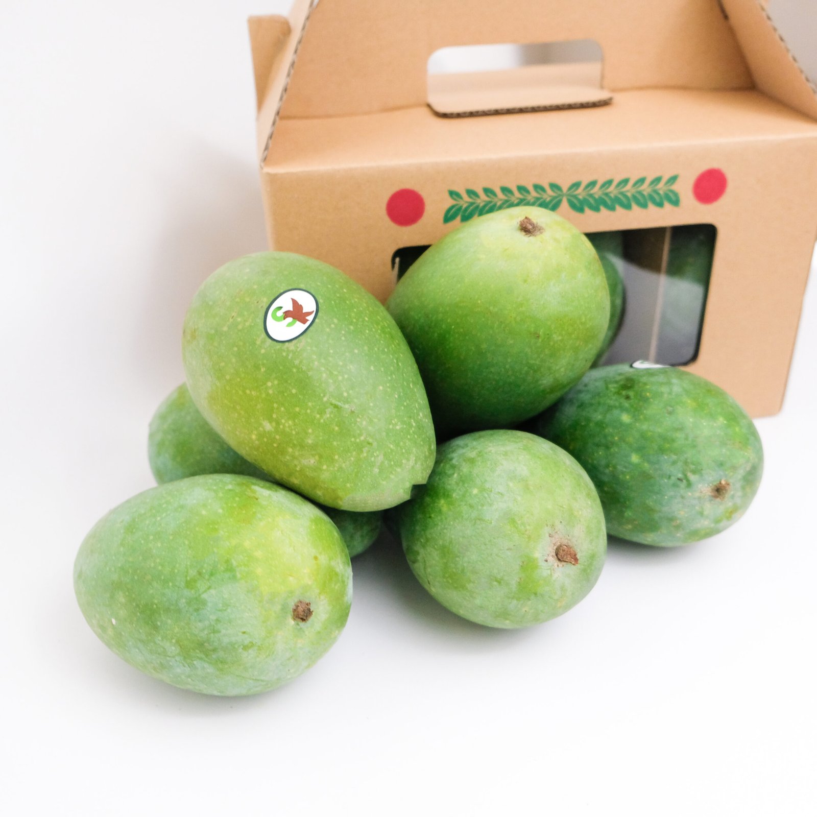 Buah Mangga: Panduan Lengkap Jenis, Manfaat, Kandungan, dan Tips Memilih