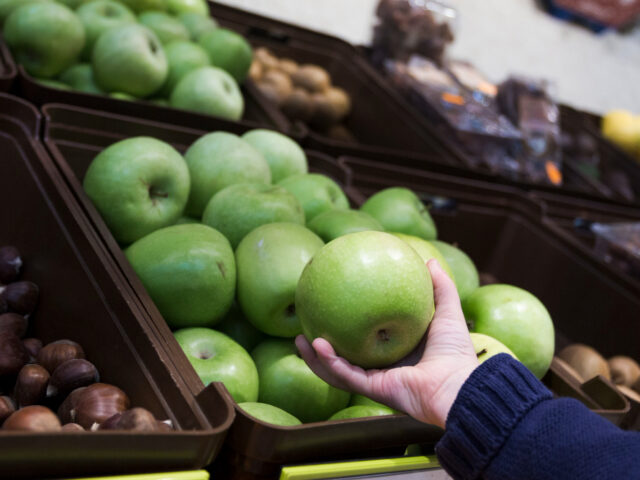 Tips Memilih Grosir Buah Import untuk Usaha Buah Segar