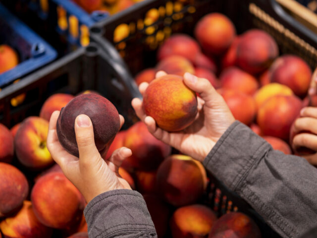 Tips Memilih Buah Impor Berkualitas untuk Bisnis Horeca