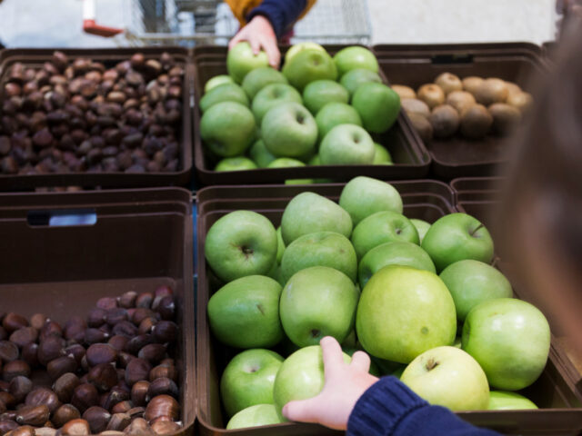 Rahasia di Balik Rantai Pasok Buah Segar yang Tahan Lama