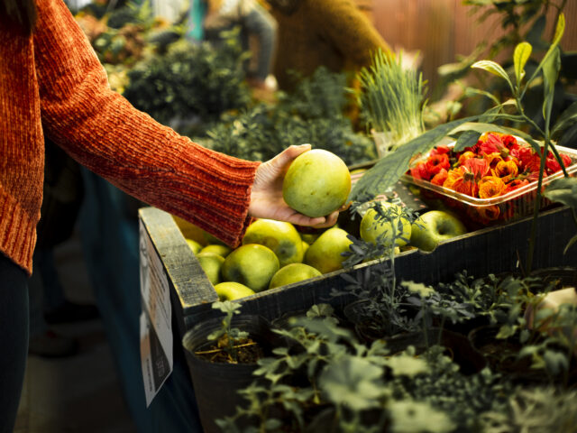 Mengapa Standarisasi Segar Group Penting bagi Setiap Cabang Usaha