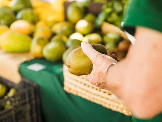 Peluang Emas Bisnis Reseller Buah Import: Panduan Sukses Bagi Pemula