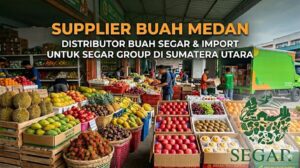 Supplier Buah Medan: Distributor Buah Segar dan Import untuk Bisnis di Sumatera Utara