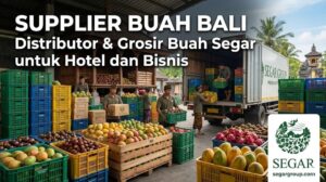 Supplier Buah Bali: Distributor & Grosir Buah Segar untuk Hotel dan Bisnis
