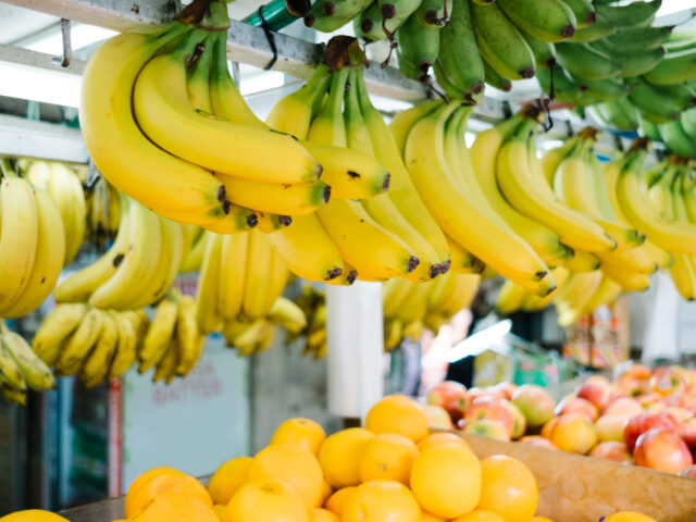 Toko Buah Surabaya: Panduan Lengkap Memilih Supplier dan Grosir Buah Terpercaya