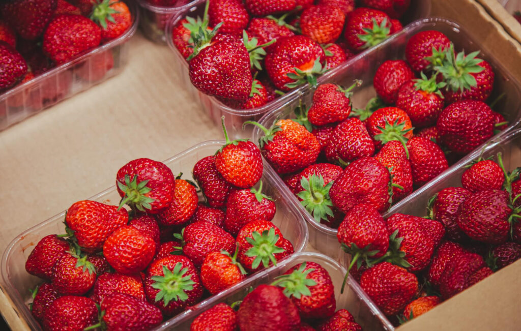 Strawberry Import Korea