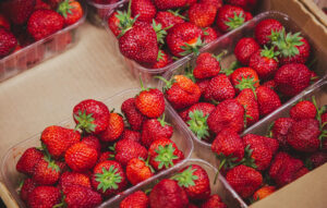 Strawberry Import Korea: Panduan Lengkap Jenis, Musim, Harga, dan Tips Bisnis
