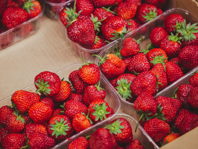 Strawberry Import Korea: Panduan Lengkap Jenis, Musim, Harga, dan Tips Bisnis