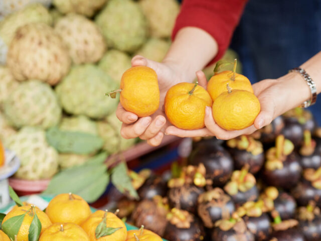 Supplier Buah Sumatera: Distribusi Buah Import untuk Medan, Aceh, dan Sumatera Bagian Utara