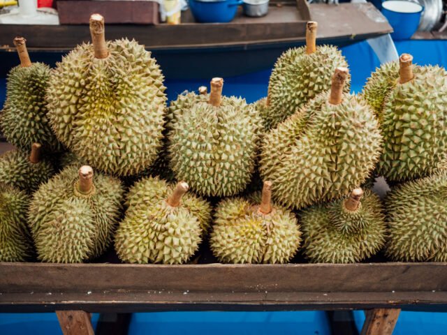 Buah Durian: Panduan Lengkap Raja Buah Jenis, Manfaat, Kandungan, dan Tips Memilih