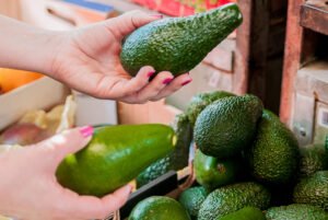 Alpukat Import: Panduan Lengkap Jenis, Manfaat, Harga, dan Cara Memilih yang Segar