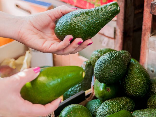 Alpukat Import: Panduan Lengkap Jenis, Manfaat, Harga, dan Cara Memilih yang Segar