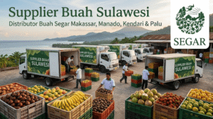 Supplier Buah Sulawesi: Distributor Buah Segar Makassar, Manado, Kendari & Palu