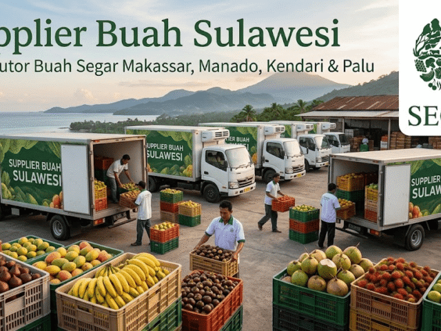 Supplier Buah Sulawesi: Distributor Buah Segar Makassar, Manado, Kendari & Palu