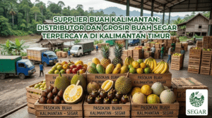 Supplier Buah Kalimantan: Distributor dan Grosir Buah Segar Terpercaya di Kalimantan Timur