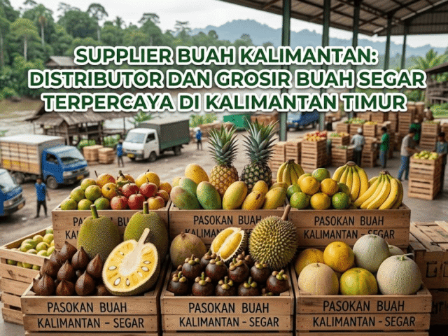 Supplier Buah Kalimantan: Distributor dan Grosir Buah Segar Terpercaya di Kalimantan Timur